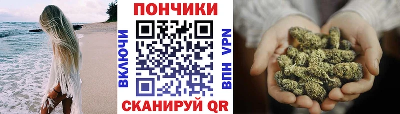 Купить наркотики сайты Кинель Каннабис  МЕФ  А ПВП  Кодеин  Гашиш 