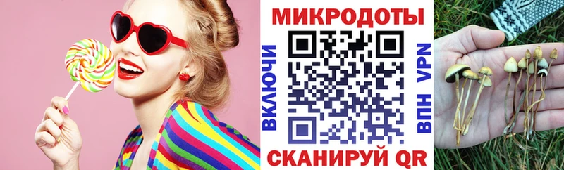 Псилоцибиновые грибы прущие грибы  купить наркотик  Кинель 